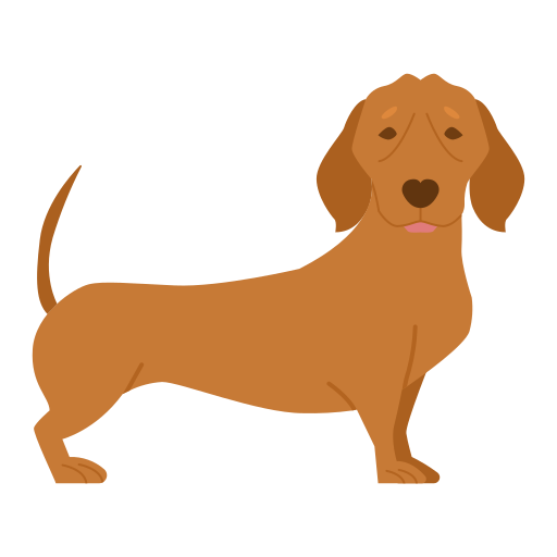 Dachshund icon